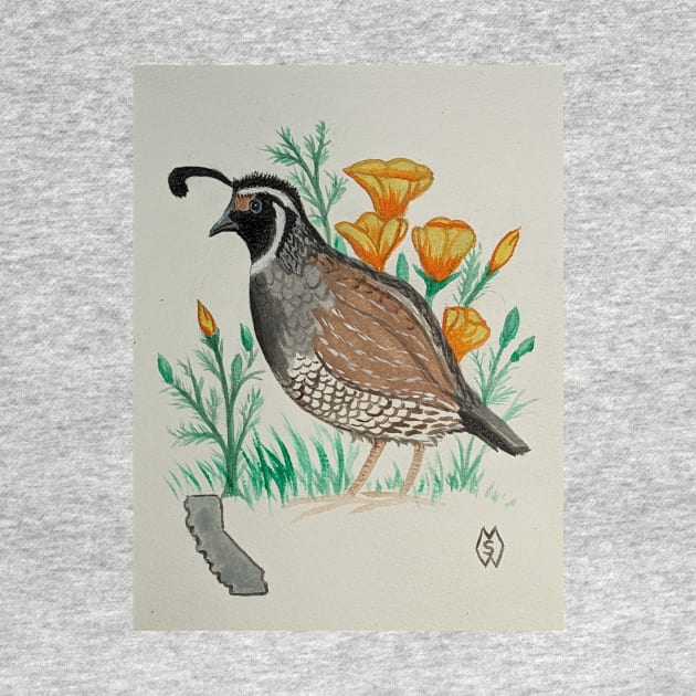 California state bird & flower, the California quail & poppy by Matt Starr Fine Art